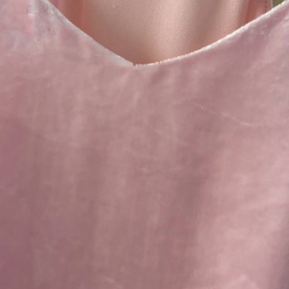 Lilly Pulitzer Dust Pink Velvet Silk top - Picture 5 of 8